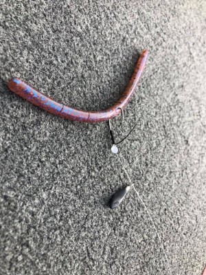 hideup 永野総一朗 ブログ写真 2019/10/30