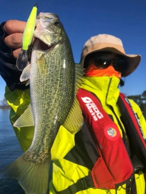 hideup 永野総一朗 ブログ写真 2019/11/02