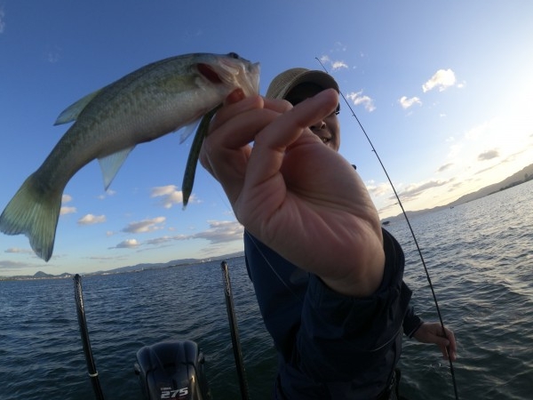 hideup 永野総一朗 ブログ写真 2019/11/04