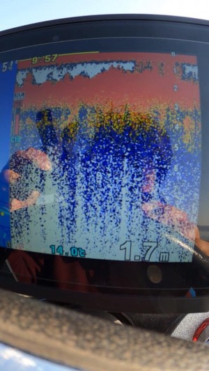 hideup 永野総一朗 ブログ写真 2019/11/17