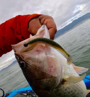 hideup 永野総一朗 ブログ写真 2019/12/08