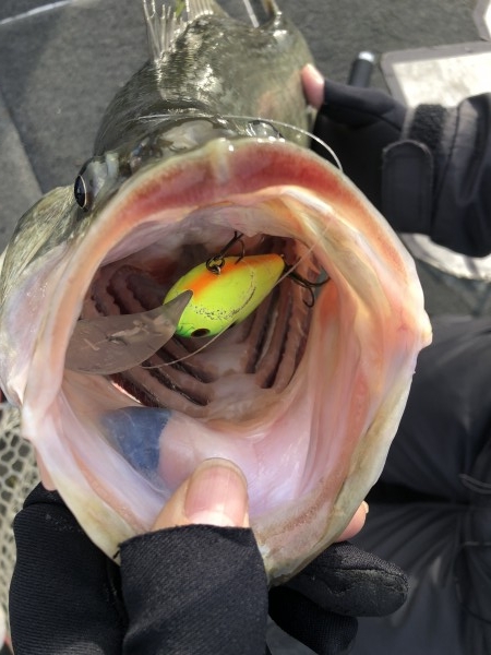 hideup 永野総一朗 ブログ写真 2020/01/11