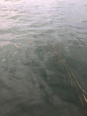 hideup 永野総一朗 ブログ写真 2020/01/19