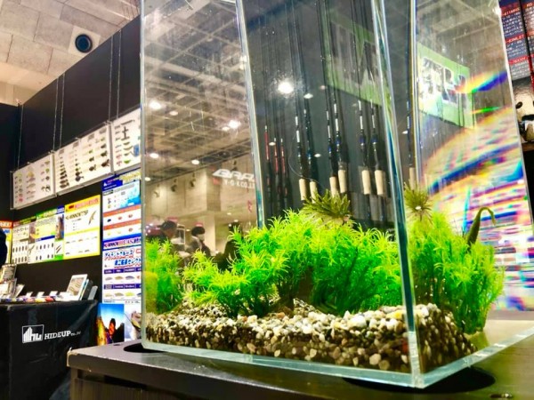 hideup 永野総一朗 ブログ写真 2020/02/10