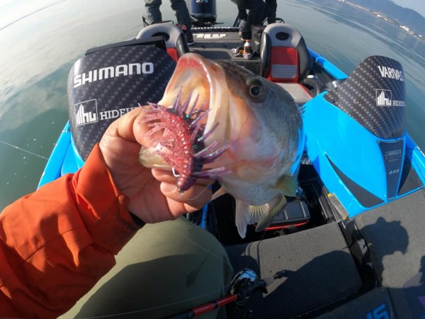 hideup 永野総一朗 ブログ写真 2020/02/12