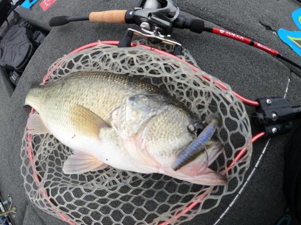 hideup 永野総一朗 ブログ写真 2020/02/15