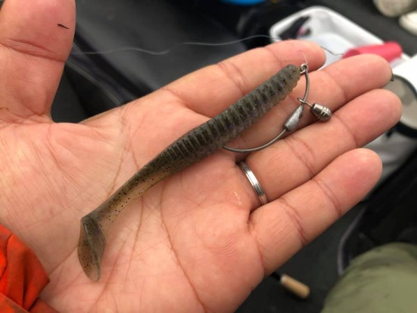 hideup 永野総一朗 ブログ写真 2020/02/15