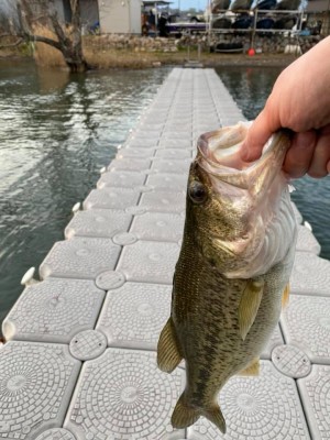 hideup 永野総一朗 ブログ写真 2020/03/03