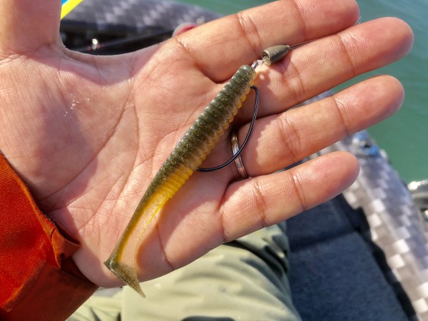 hideup 永野総一朗 ブログ写真 2020/03/14