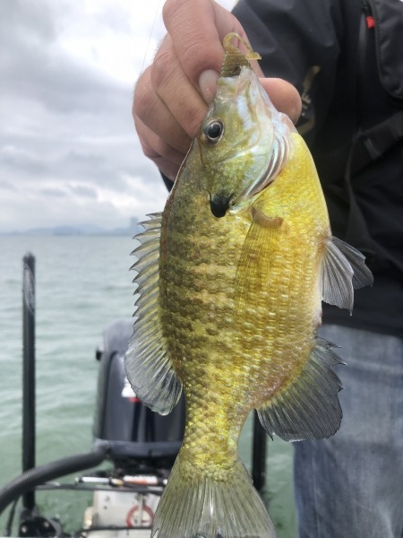 hideup 永野総一朗 ブログ写真 2020/05/28