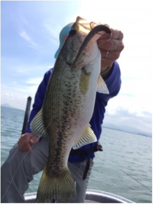 hideup 永野総一朗 ブログ写真 2020/05/28