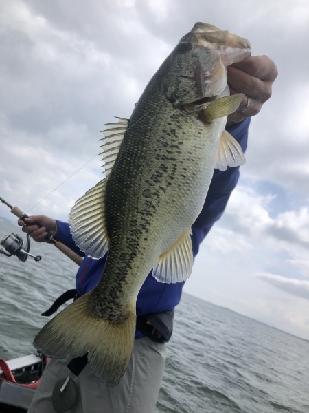 hideup 永野総一朗 ブログ写真 2020/05/28