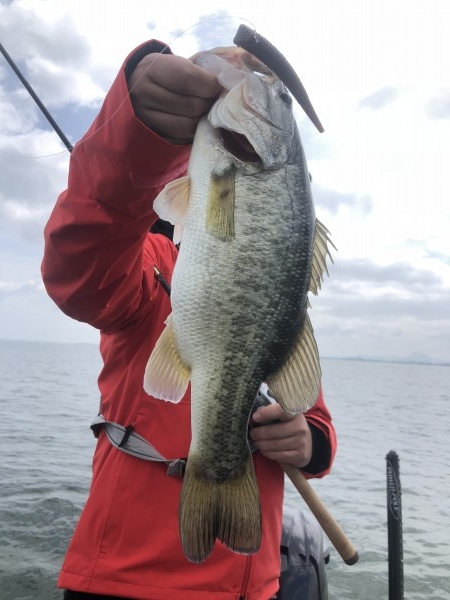 hideup 永野総一朗 ブログ写真 2020/05/28