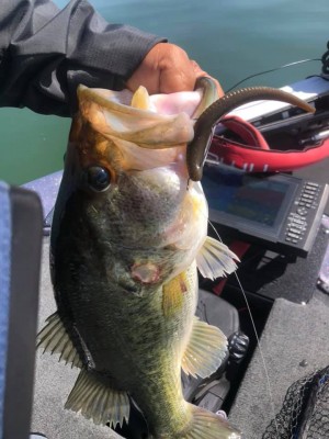 hideup 永野総一朗 ブログ写真 2020/05/29