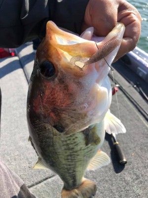 hideup 永野総一朗 ブログ写真 2020/05/29