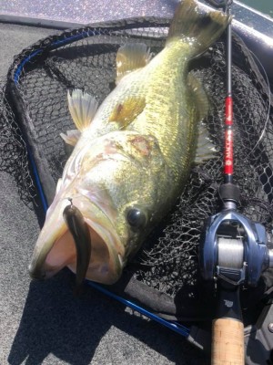 hideup 永野総一朗 ブログ写真 2020/05/29