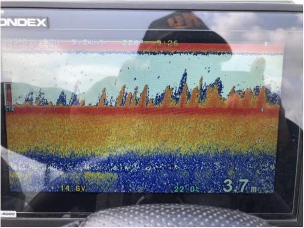 hideup 永野総一朗 ブログ写真 2020/05/30