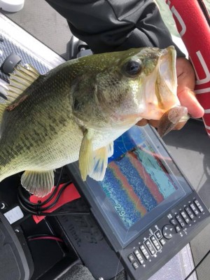 hideup 永野総一朗 ブログ写真 2020/06/03