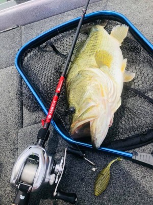 hideup 永野総一朗 ブログ写真 2020/06/04