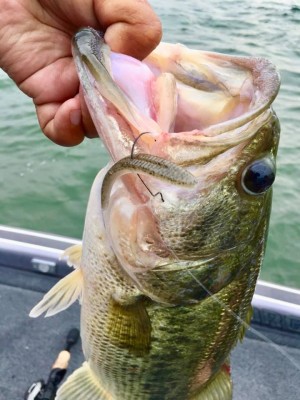 hideup 永野総一朗 ブログ写真 2020/06/06