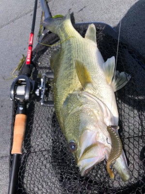 hideup 永野総一朗 ブログ写真 2020/06/06