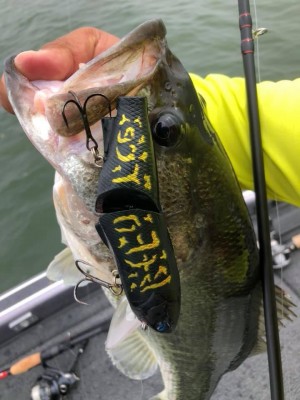 hideup 永野総一朗 ブログ写真 2020/06/07