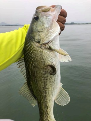 hideup 永野総一朗 ブログ写真 2020/06/07