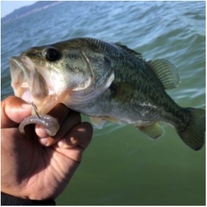 hideup 永野総一朗 ブログ写真 2020/06/08