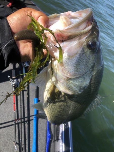 hideup 永野総一朗 ブログ写真 2020/06/08