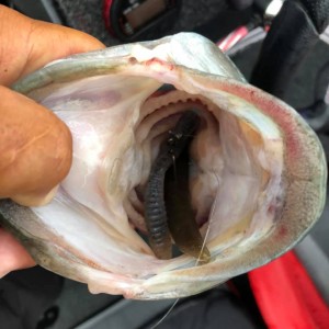 hideup 永野総一朗 ブログ写真 2020/06/13