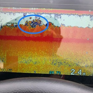 hideup 永野総一朗 ブログ写真 2020/06/13