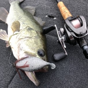 hideup 永野総一朗 ブログ写真 2020/06/14