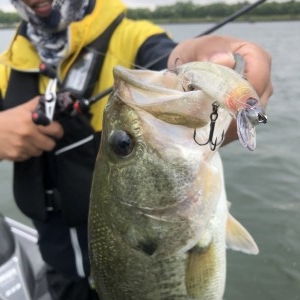 hideup 永野総一朗 ブログ写真 2020/06/14