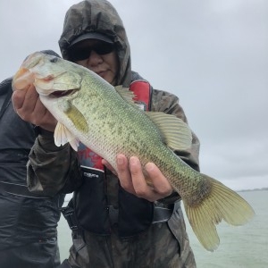 hideup 永野総一朗 ブログ写真 2020/06/14