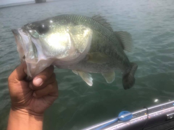 hideup 永野総一朗 ブログ写真 2020/06/16