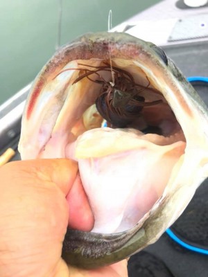 hideup 永野総一朗 ブログ写真 2020/06/18