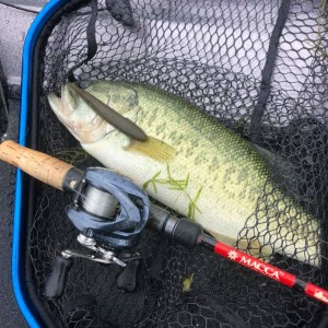 hideup 永野総一朗 ブログ写真 2020/06/18