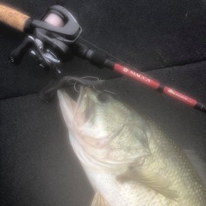 hideup 永野総一朗 ブログ写真 2020/06/18