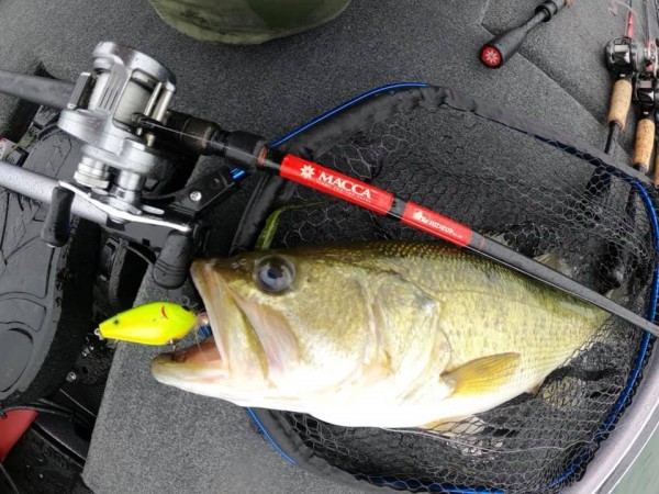 hideup 永野総一朗 ブログ写真 2020/06/20