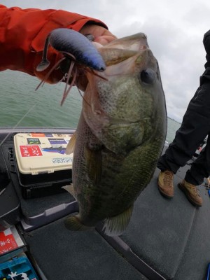 hideup 永野総一朗 ブログ写真 2020/06/20