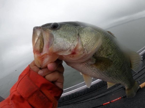 hideup 永野総一朗 ブログ写真 2020/06/20