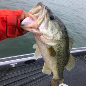 hideup 永野総一朗 ブログ写真 2020/06/20