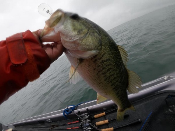 hideup 永野総一朗 ブログ写真 2020/06/20