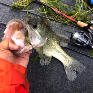 hideup 永野総一朗 ブログ写真 2020/06/20