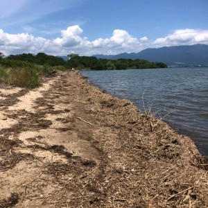 hideup 永野総一朗 ブログ写真 2020/06/22