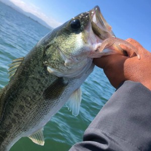 hideup 永野総一朗 ブログ写真 2020/06/24