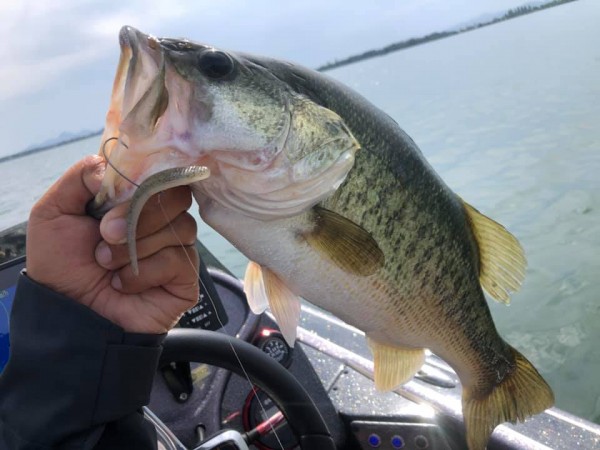 hideup 永野総一朗 ブログ写真 2020/06/24