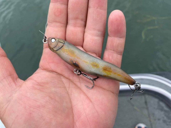 hideup 永野総一朗 ブログ写真 2020/06/25