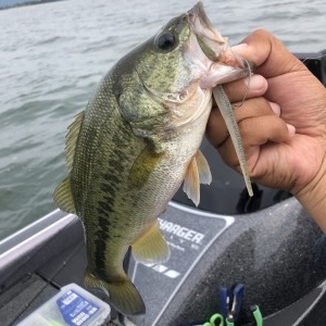 hideup 永野総一朗 ブログ写真 2020/06/30