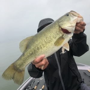 hideup 永野総一朗 ブログ写真 2020/07/01